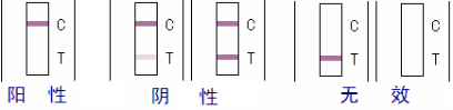 火锅底料*速测盒